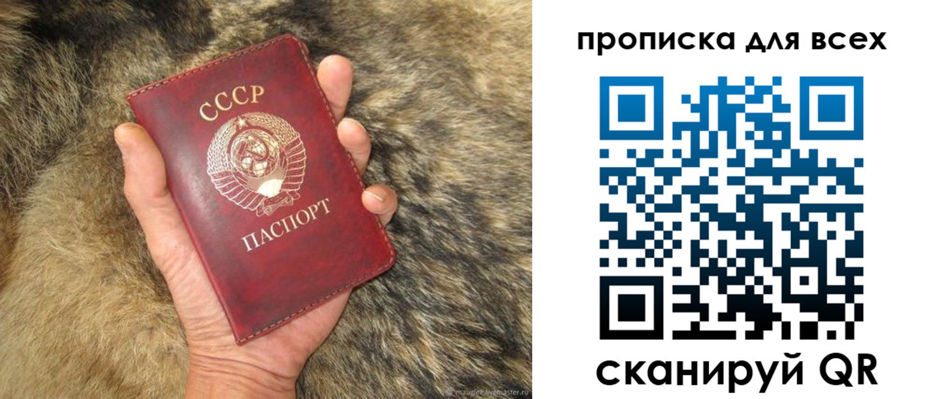 прописка в квартире в Чехове